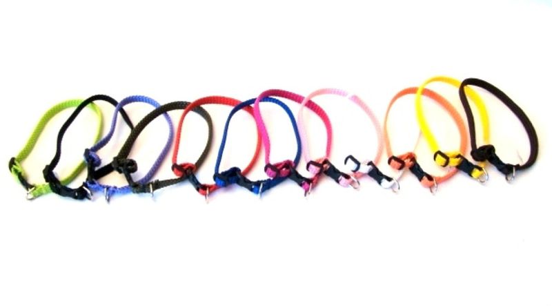 Alac Halsb&aring;nd og kobbel sett m/clickl&aring;s, 10mm