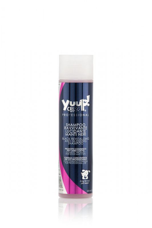 Yuup! Pro Black revitalizing and glossing shampo 250ML 