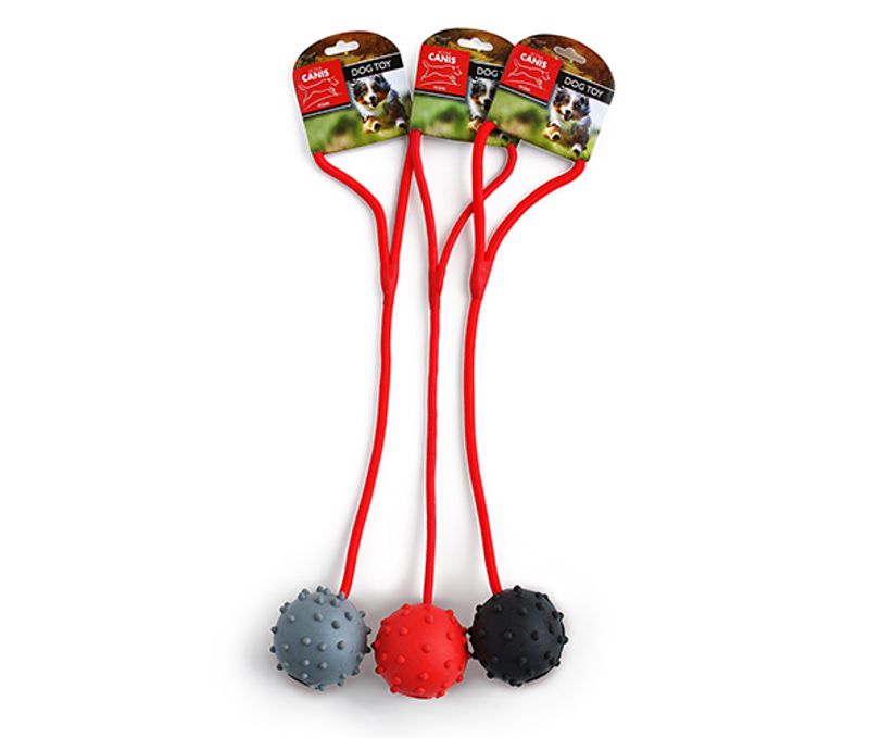 Active Canis Ball with rope