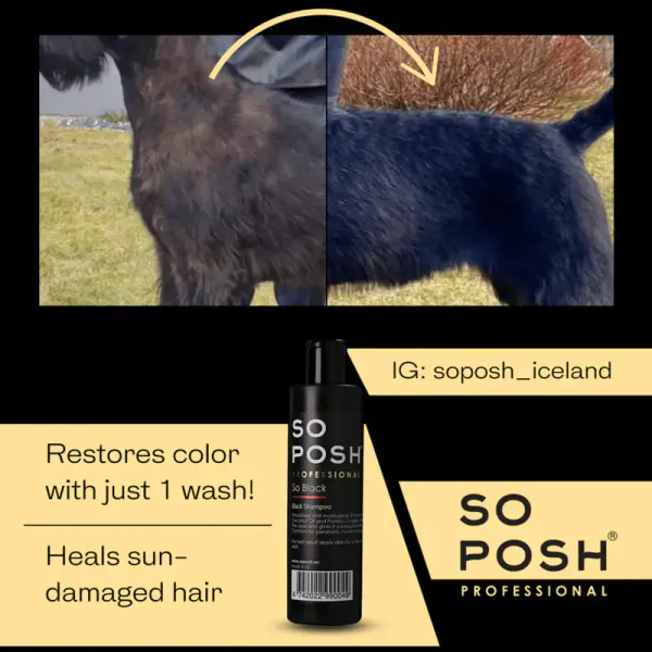 SoPosh So Black 250 ml. Shampoo for black coats
